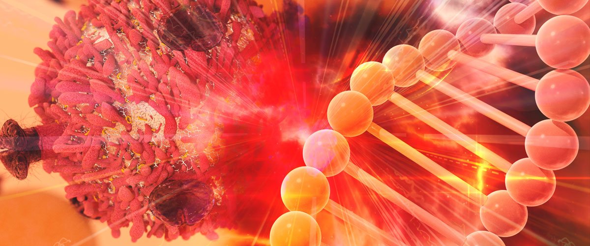 Fenbendazole and Ivermectin